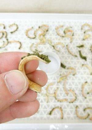 食品乾燥機で干しゴーヤの作り方-レシピのメイン写真