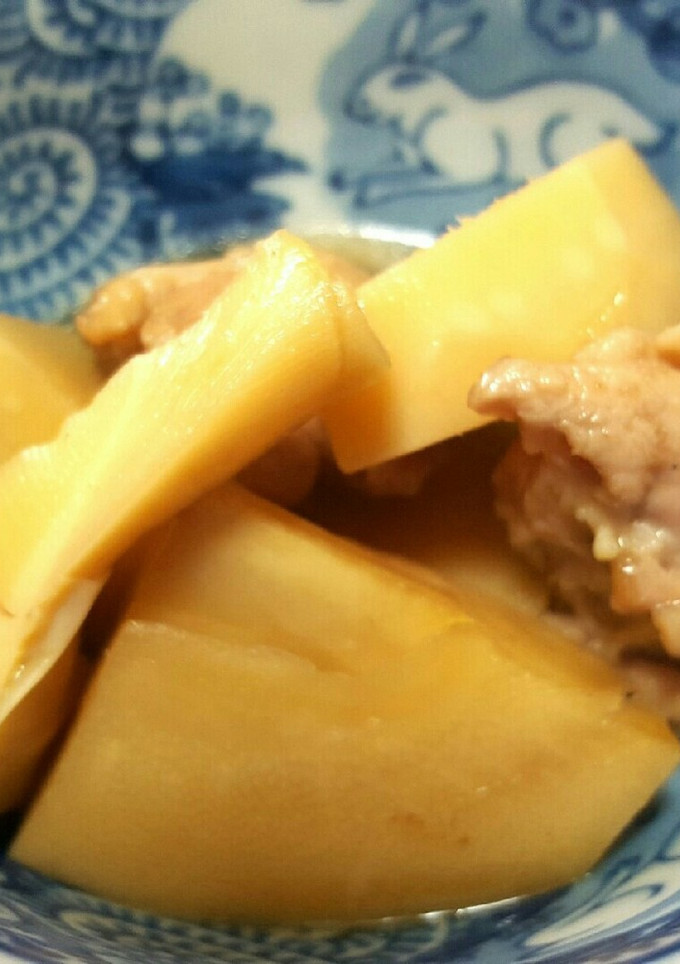 筍と鶏肉の煮物-レシピのメイン写真