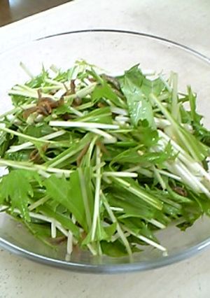 水菜のホットドレッシングサラダ-レシピのメイン写真