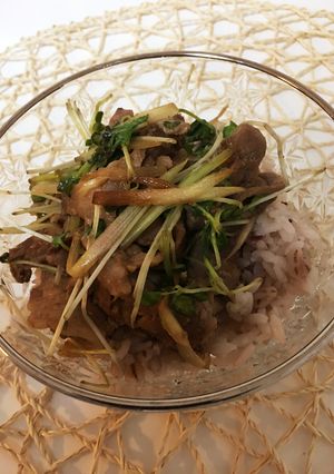 薬味たっぷり♡豚の生姜焼き丼-レシピのメイン写真