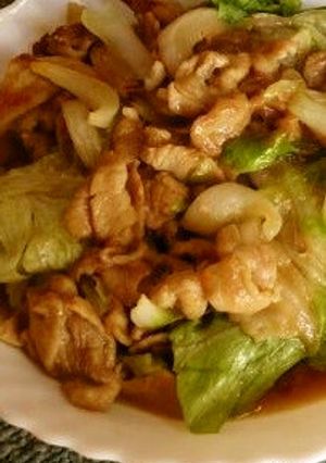 新玉ねぎと豚肉のオイスター炒め-レシピのメイン写真