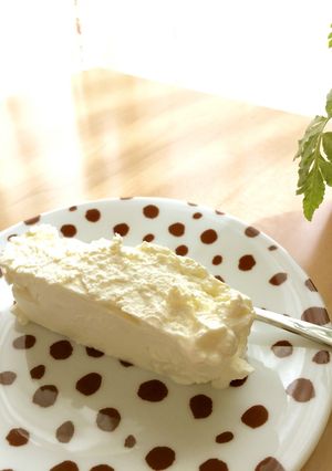 本格的なチーズ作り①クリームチーズ-レシピのメイン写真