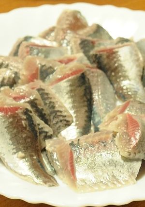 【杜氏流】鰯の酢〆 酒粕風味　酢締め-レシピのメイン写真