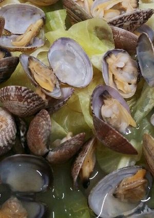 新キャベツとアサリの酒蒸し煮-レシピのメイン写真