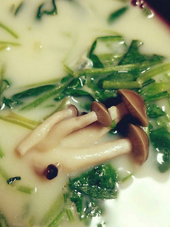 ほうれん草の豆乳スープ~味噌仕立て~-レシピのメイン写真