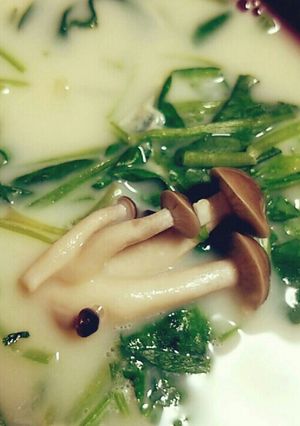 ほうれん草の豆乳スープ～味噌仕立て～-レシピのメイン写真