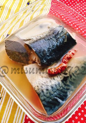 圧力鍋で簡単☆しっとり自家製鯖の水煮-レシピのメイン写真