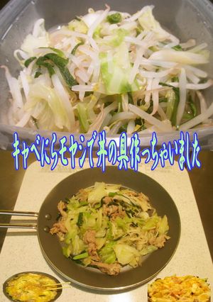 美味ドレの簡単！キャベにらモヤシで丼の具-レシピのメイン写真