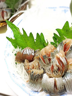 食べやすい鰯の刺身-レシピのメイン写真