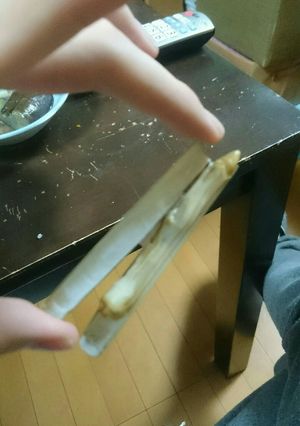 マッテローヨッ 焼きマテガイ-レシピのメイン写真