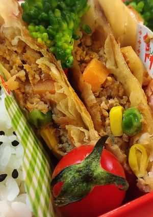 簡単♪お弁当にも♪ハンバーグ風春巻き-レシピのメイン写真