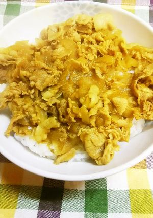 簡単！カレー粉と麺つゆDEカレー豚丼♪-レシピのメイン写真