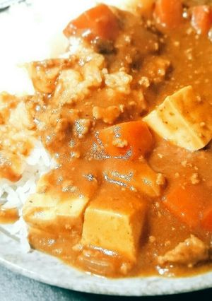 ビバ☆テイルズオブ　簡単マーボーカレー-レシピのメイン写真