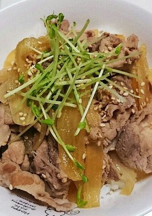 節約！簡単！早い！豚丼-レシピのメイン写真
