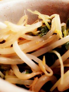 節約♪もやしとかいわれの和え物-レシピのメイン写真