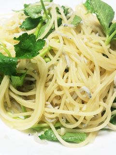 しらすと三つ葉の和風パスタ-レシピのメイン写真