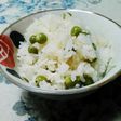 旨~♬エンドウ豆ご飯とエンドウ豆おにぎり