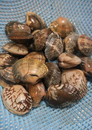 魚河岸直伝！簡単！アサリの砂抜き☆-レシピのメイン写真