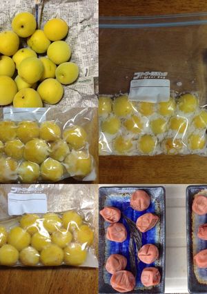 ジップロックでの梅干しの作り方-レシピのメイン写真