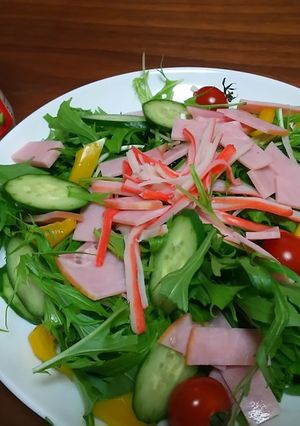 水菜のサラダ-レシピのメイン写真