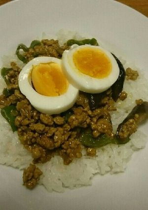 カレーパウダーで作る！ドライカレー-レシピのメイン写真