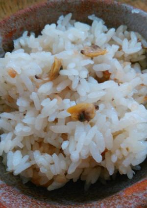 調味料なし！殻付きアサリで作るアサリご飯-レシピのメイン写真