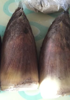 たけのこ あく抜き スルスル簡単圧力鍋-レシピのメイン写真