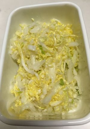 保存材料★白菜塩もみ-レシピのメイン写真