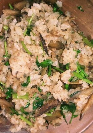 せりとごぼうの混ぜご飯-レシピのメイン写真