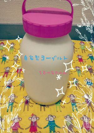 ヨーグルトを毎回買い常備してる人に！-レシピのメイン写真