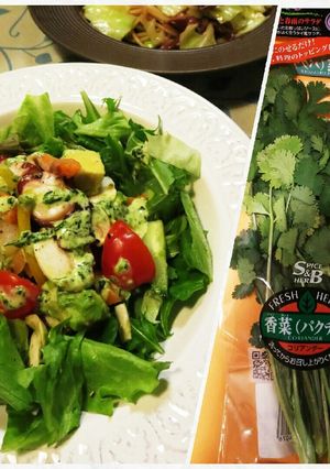 フレッシュパクチーでドレッシング-レシピのメイン写真