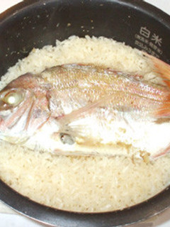魚・鯛めし♪炊飯器で!簡単鯛炊き込みご飯-レシピのメイン写真