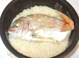 魚・鯛めし♪炊飯器で！簡単鯛炊き込みご飯-レシピのメイン写真