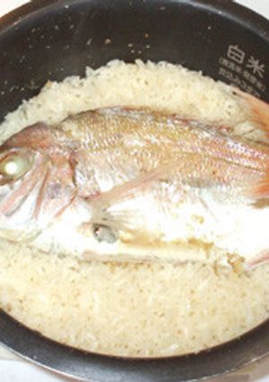魚・鯛めし♪炊飯器で！簡単鯛炊き込みご飯-レシピのメイン写真