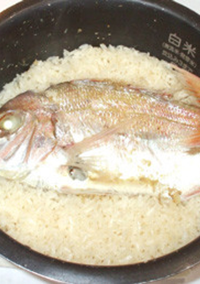 魚・鯛めし♪炊飯器で！簡単鯛炊き込みご飯-レシピのメイン写真