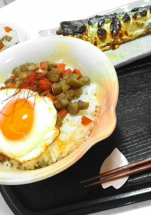 コロコロきんぴら丼-レシピのメイン写真