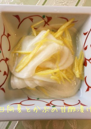 日向夏・かぶの甘酢漬け-レシピのメイン写真