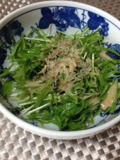 まるごと水菜とカリカリじゃこのサラダ-レシピのメイン写真