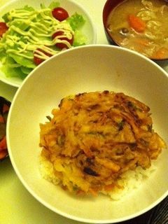お手軽!美味い!野菜かき揚げ天丼-レシピのメイン写真