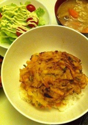 お手軽！美味い！野菜かき揚げ天丼-レシピのメイン写真