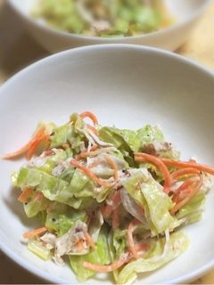 キャベツと鶏ささみの和風サラダ-レシピのメイン写真