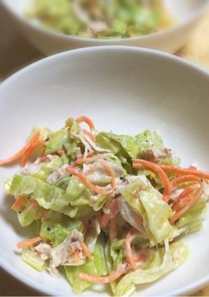 キャベツと鶏ささみの和風サラダ-レシピのメイン写真