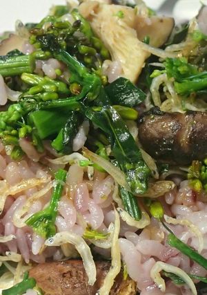 黒キャベツの菜花とちりめんじゃこの炒飯-レシピのメイン写真