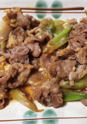カンタン☆長ねぎと豚肉のこまとろ煮-レシピのメイン写真