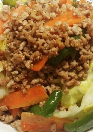 春キャベツと豚挽き肉の生姜焼き-レシピのメイン写真