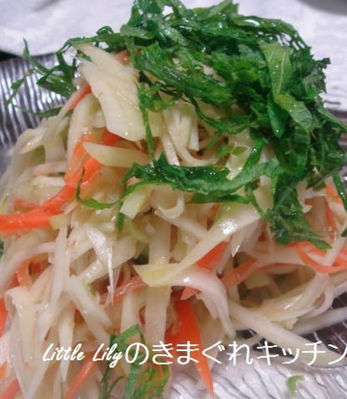 青パパイヤのサラダ-レシピのメイン写真