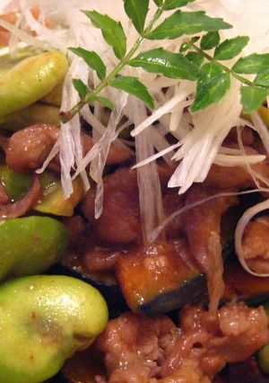 南瓜とピリ辛豚肉の炒め物-レシピのメイン写真