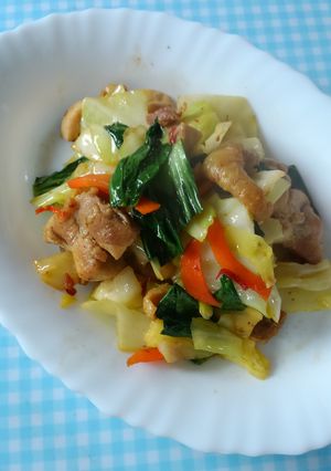 塩味でピリ辛！鶏肉のキャベツ炒め♪-レシピのメイン写真