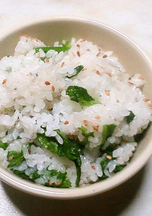 菜の花しらすごはん-レシピのメイン写真
