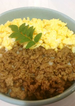 簡単 二色丼-レシピのメイン写真